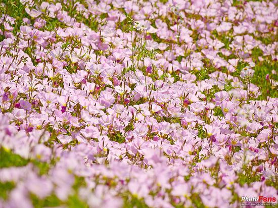 焦距:300mm ISO:160 光圈:F7.1 快门:1/640s