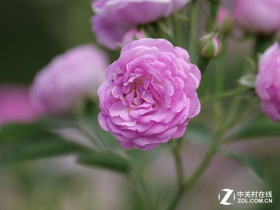 松下200mm f/2.8的防抖很棒(图中为太阳落山时,手持1/25s拍摄)
