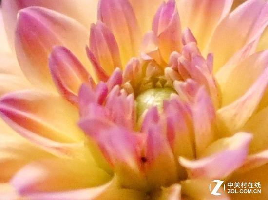 图片说明松下GH5S ISO 6400实拍截图