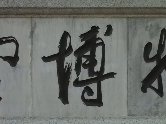 焦距:539mm 光圈:f/8.0 ISO感光度:1600