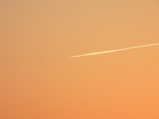 焦距:84mm 光圈:f/5.0 ISO感光度:100