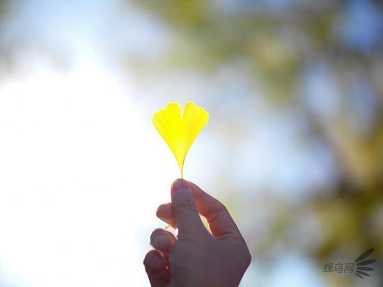 f/1.9鬼影眩光测试