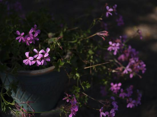 焦距:64mm 光圈:f/4.0 ISO感光度:200
