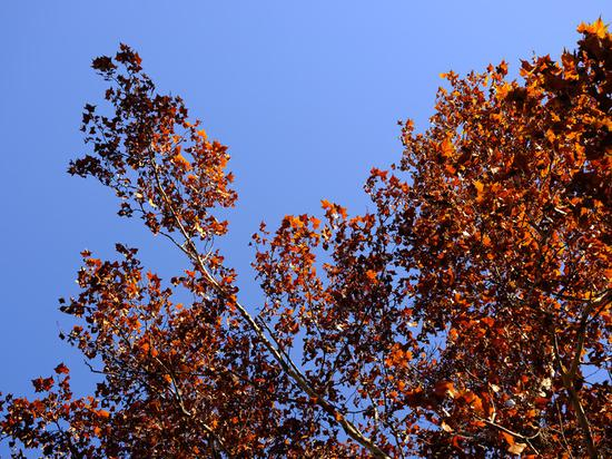 焦距:63mm 光圈:f/5.6 ISO感光度:100
