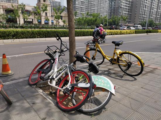 在广渠门外地铁站附近,两辆已经退出市场的99单车和酷骑单车被遗弃在树坑里,变为了城市垃圾。 新京报记者 王贵彬 摄