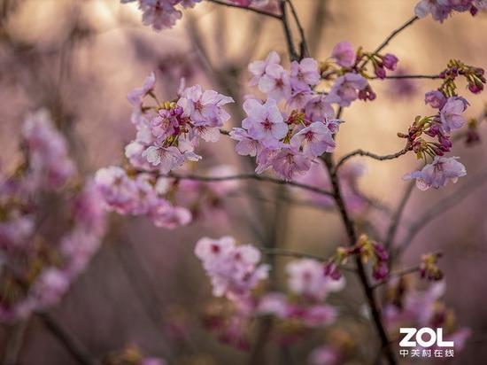 200mm端光圈全开也能对眩光和色散抑制得很好
