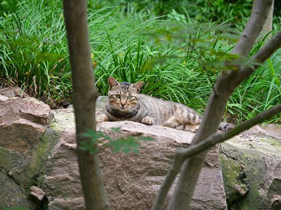 焦距:60mm ISO:200 光圈:F4 快门:1/60s