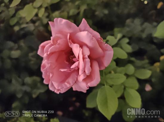 努比亚Z20样张(夜景模式)