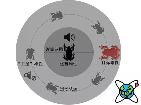 “卫星”行为示意图