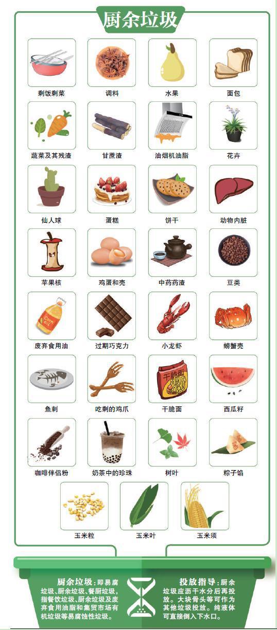 厨余垃圾(图源:新京报)