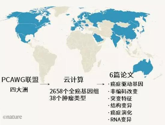 图1 | 全球性抗癌研究。全基因组泛癌分析(PCAWG)联盟由来自四大洲(蓝色)的癌症研究人员组成。联盟对38种肿瘤的2658个全癌基因组进行了测序和分析。这项工作涉及的大量数据需要动用复杂的云计算。联盟发表的6篇论文1-6分别侧重不同方面。(自然发表的作品对于发表地图中涉及的管辖权争议持中立态度。)