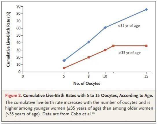 5个~15个卵母细胞随年龄变化的累计存活率(图源:NEJM)