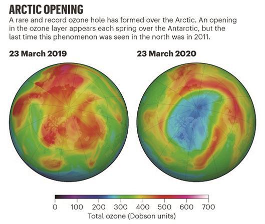 北极上空出现了一个罕见的臭氧层空洞。 图片来源:NASA Ozone Watch