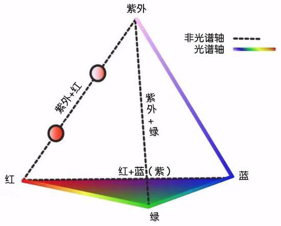 鸟类所能看到的颜色通常可以用一个四面体的颜色空间来表示。| 图片来源:Stoddard Lab
