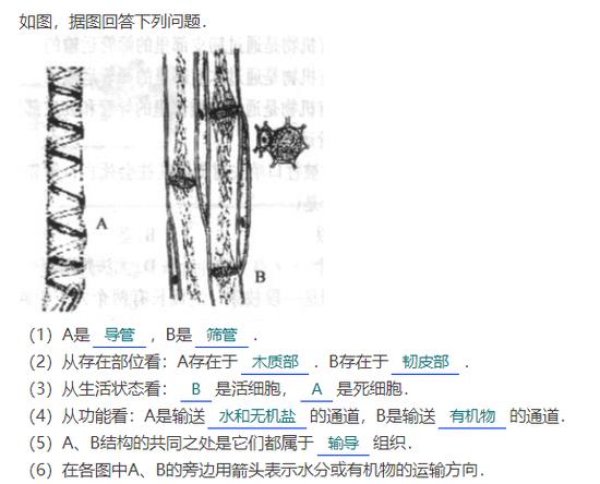看到这个考题,你有没有想起中学时期被生物支配的恐惧?来源 | 青夏教育