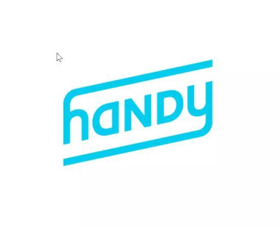 Handy 的企业文化