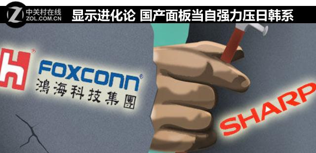 显示进化论 国产面板当自强力压日韩系