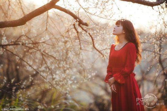摄影师B-NUT作品