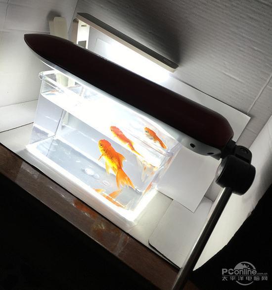 实际拍摄环境