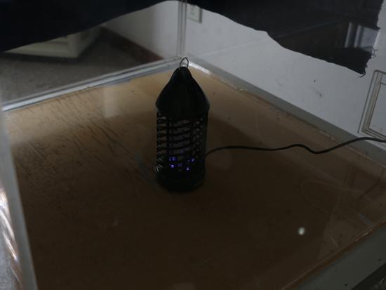 灭蚊灯实验组