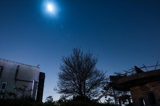 尼康D810调整RAW后输出