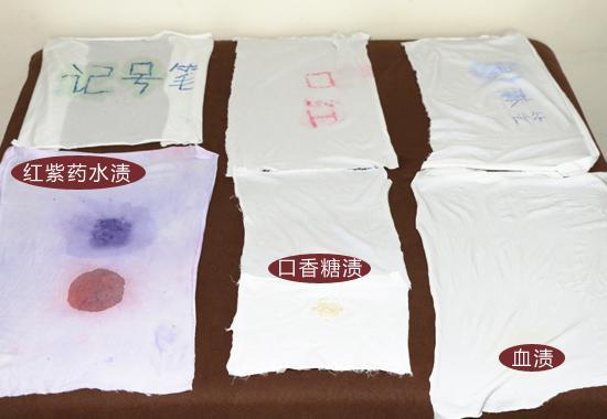 实验结果展示