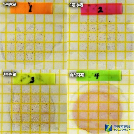 冰箱与自然环境细菌滋生数量对比