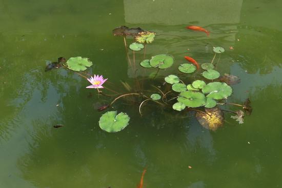 佳能EOS M10拍摄