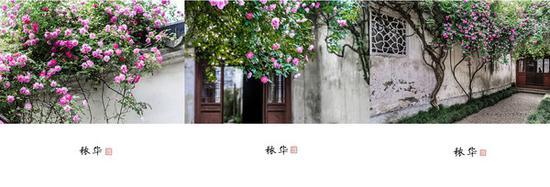 摄影部落沙鸥视觉作品(点击图片查看大图)