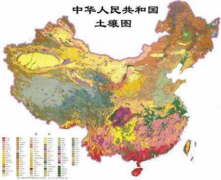 而这其中比如: