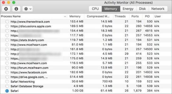 在Activity Monitor中你可以查看每一个Safari标签和窗口,还有它们占用了多少RAM