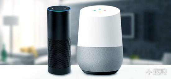 Amazon Echo / Google Home
