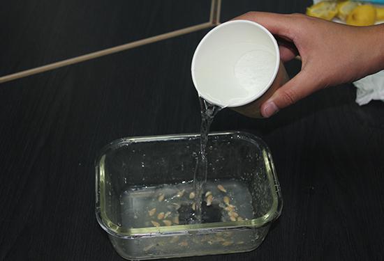 然后加入适量清水