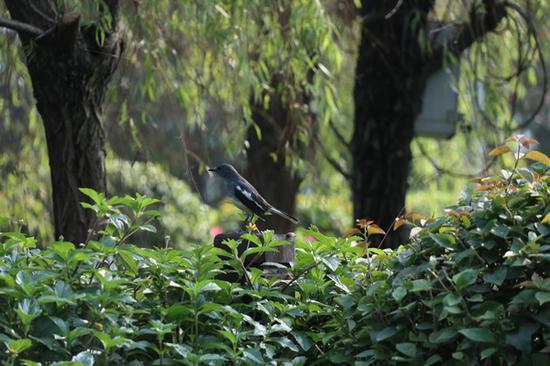 光圈:F6.3 快门:1/1244 sec ISO:1250