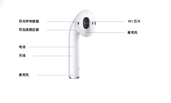 AirPods结构解析