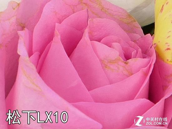 松下LX10对焦区域100%截图