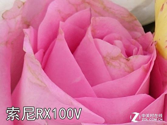 索尼RX100V对焦区域100%截图