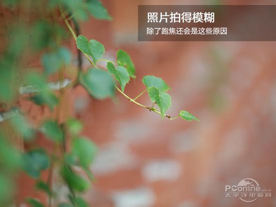 照片拍得模糊 除了跑焦还会是这些原因