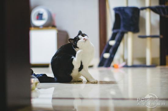 佳能EOS M5转接EF 50mm F1.2L拍摄