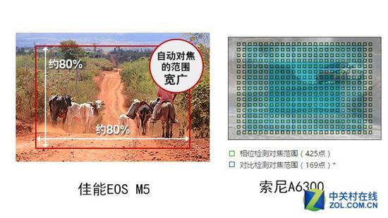 佳能EOS M5和索尼A6300对焦面积都能触及边缘