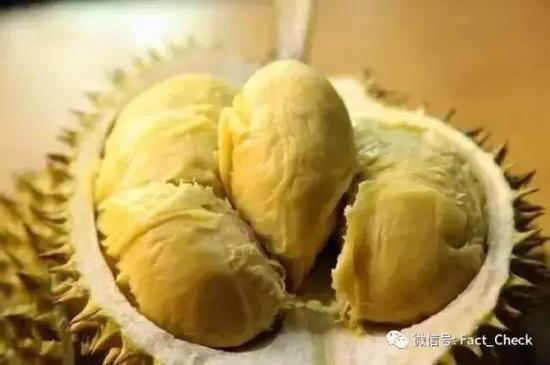 只要不暴饮暴食吃成胖子,好好享受榴莲的美味
