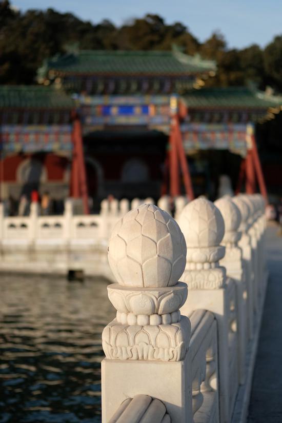富士50mm f/2样片
