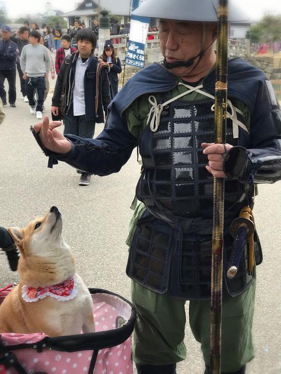 人与狗的交流