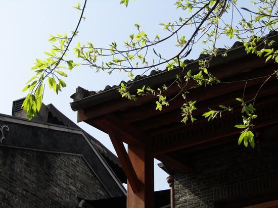 焦距:800毫米 光圈:F5.0 快门:1/500sec ISO:100 曝光补偿:-2/3EV(点击查看原图)