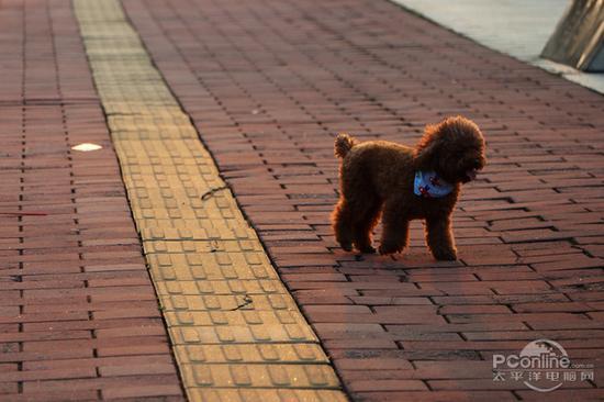 光圈:F6.3 快门:1/128 sec ISO:250