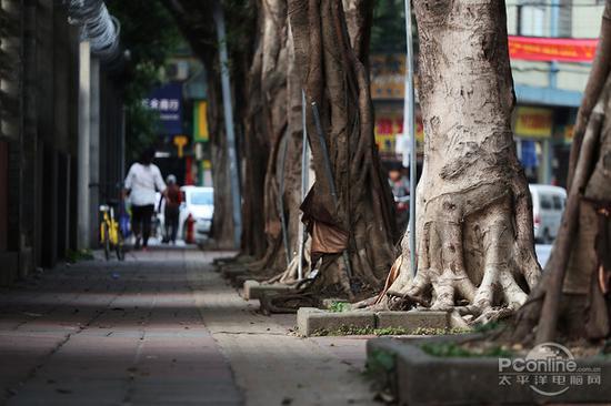 光圈:F6.3 快门:1/64 sec ISO:400