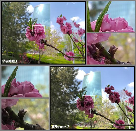 华硕鹰眼3和iPhone 7细节对比