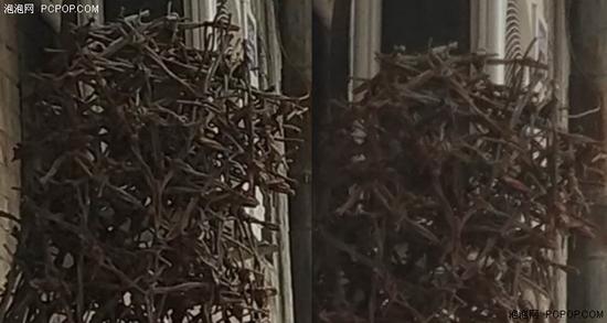 细节对比(前1X,后2X)