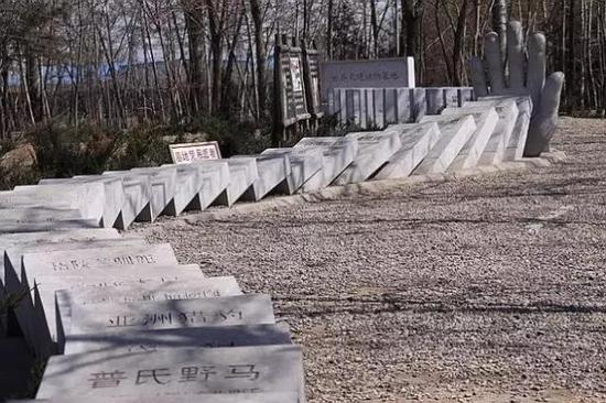 ▲位于北京南海子麋鹿苑中的灭绝动物名单被做成了多米诺骨牌形状,不知未来是否需要加上蜜蜂的名字(图片来自网络)