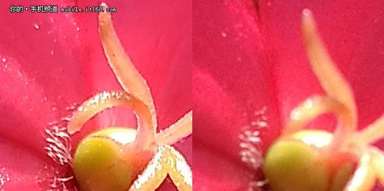 细节对比(左:努比亚;右:荣耀)